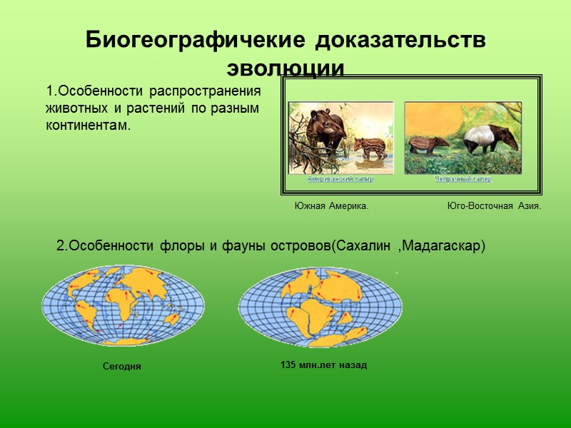 Животные доказательство. Островная Флора и фауна доказательства эволюции. Биогеографический метод эволюции. Биогеографические методы изучения эволюции. Флора и фауна материков доказательства эволюции.