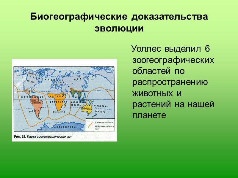 Биогеографические доказательства эволюции картинки