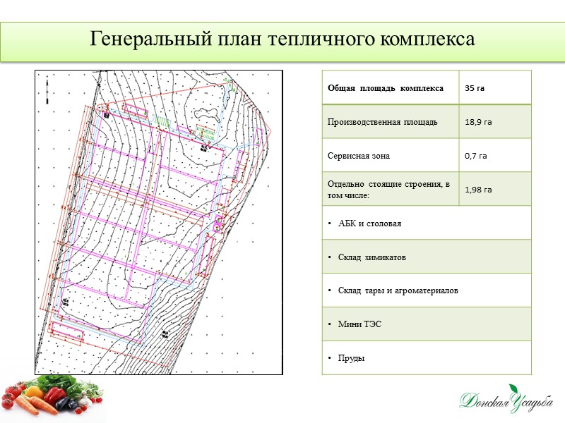 Образец бизнес плана по теплице