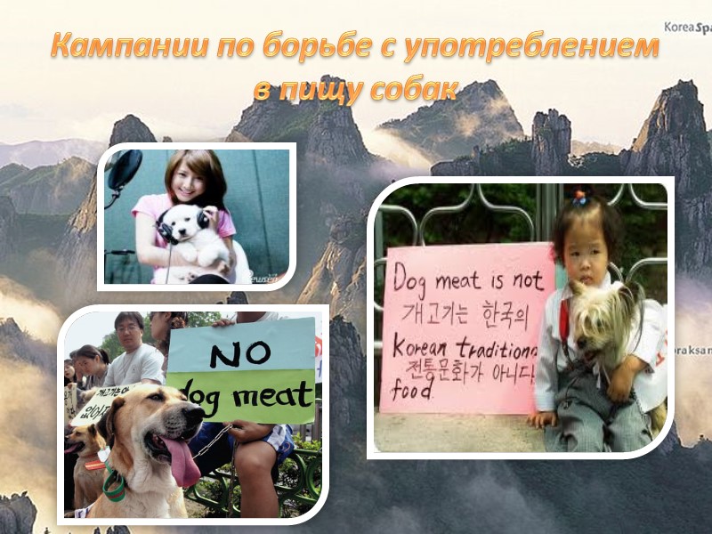 Япония – маленькая и далекая страна