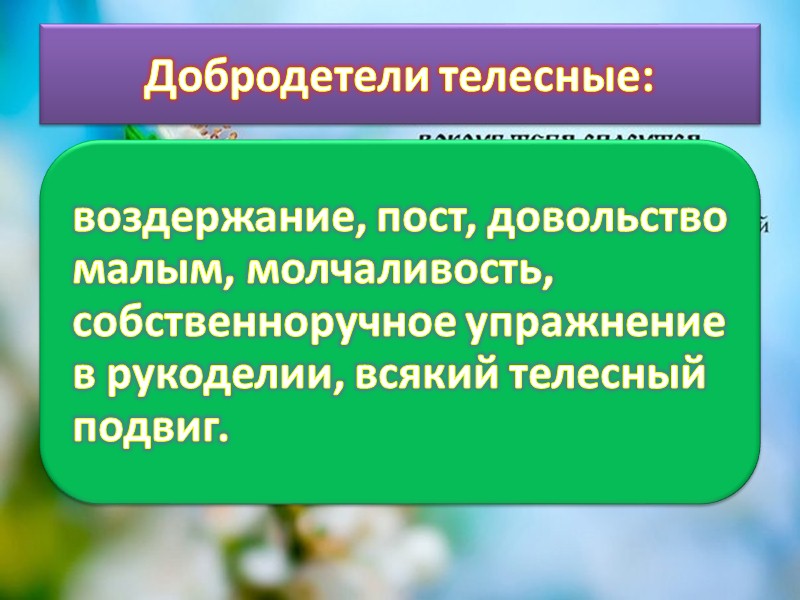Самое высшее и самое возвышенное чувство человека есть материнская любовь. Любящая мать, полностью отдает