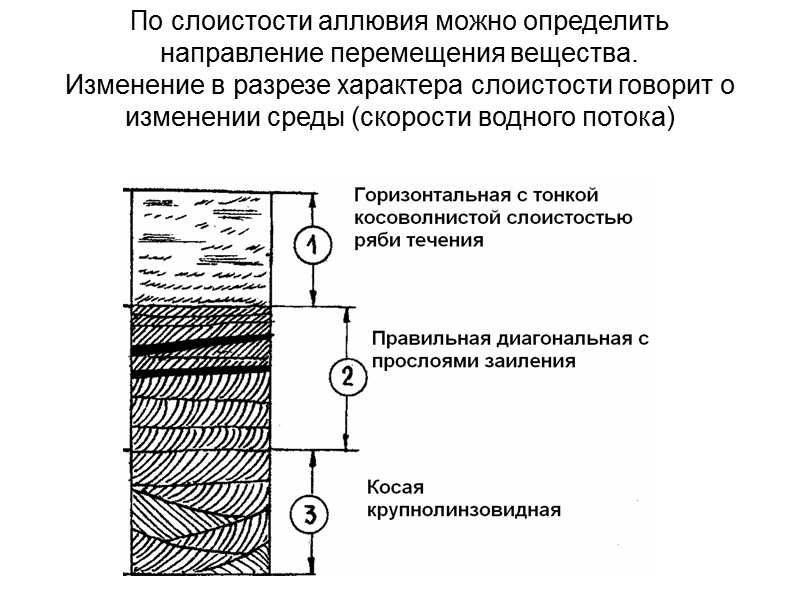 Рельеф поймы свободно меандрирующей реки Прослеживаются многочисленные сегменты поймы с разной ориентировкой прирусловых валов.