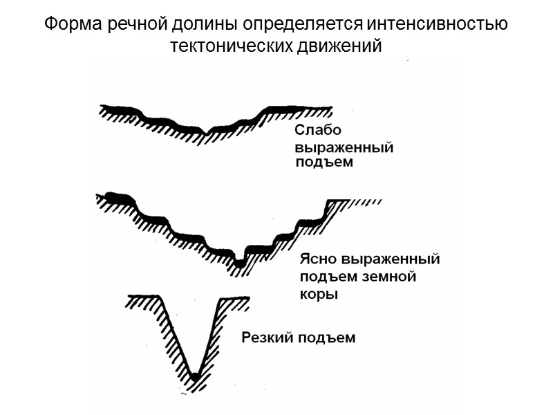 Тип речных систем определяется характером неотектонических движений