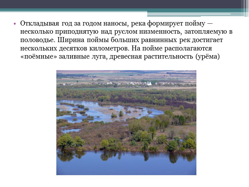 По характеру рисунка речной сети различают: древовидный, перистый, решетчатый (ортогональный), параллельный, радиальный, кольцевидный типы.