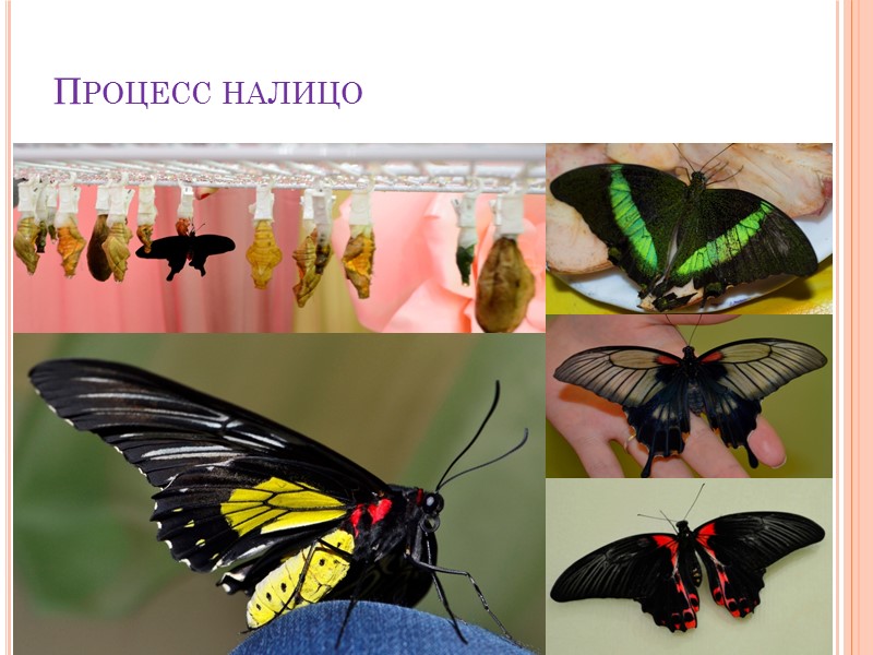 Почему именно мы?          В мире