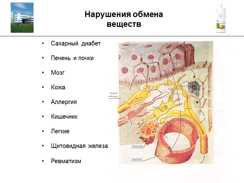 ___________________________________________________________________________________ Кислотно-щелочной баланс Область применения Желудочно-кишечный тракт Мускулатура, опорно-двигательный аппарат  Сердце и кровообращение