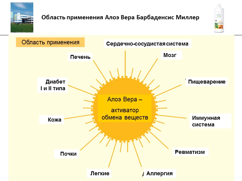 ___________________________________________________________________________________ COLOSTRUM Взрослые: 1-2 столовой ложки ежедневно (или более в отдельных случаях). Дети: 2