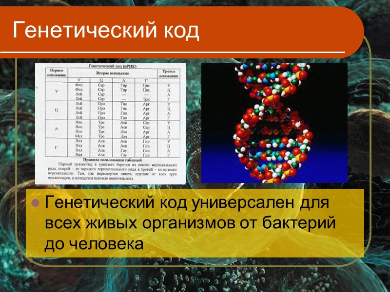 Определить код человека. Генетический код. Генетический код человечества. Генетический код это в биологии. Генетические коды человека.