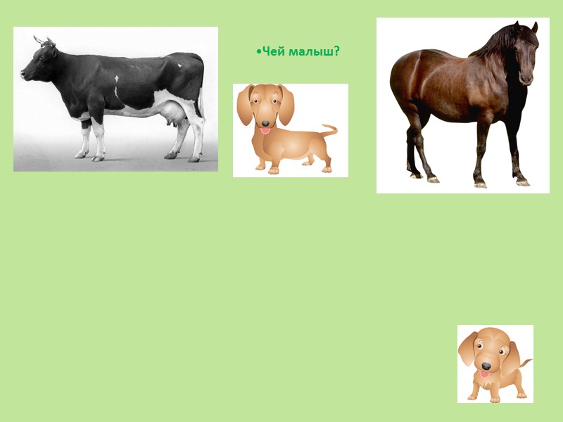 Кошка Кошка очень любит молоко.