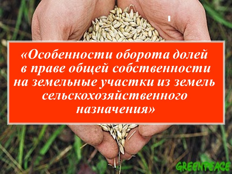 «Особенности оборота долей  в праве общей собственности на земельные участки из земель 