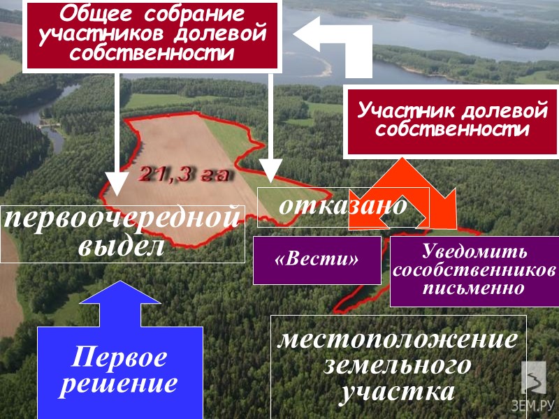 Оборот долей в праве общей собственности на з/у из земель с/х назначения Гражданский кодекс