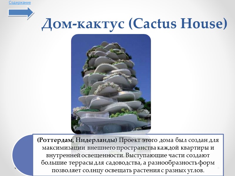 Дом-кактус (Cactus House)  Содержание