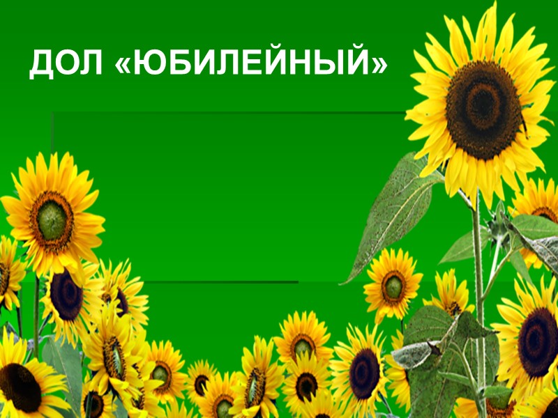 ДОЛ «ЮБИЛЕЙНЫЙ»