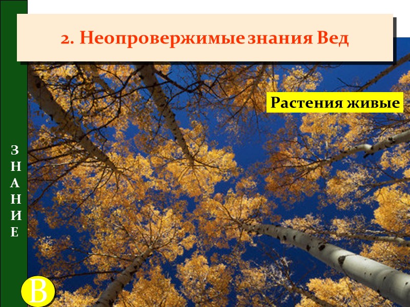 Абстрактное и Конкретное  восприятие Жизнь Успех Человек Покушать сено Победа Мой хозяин ОССОБЕННОСТЬ