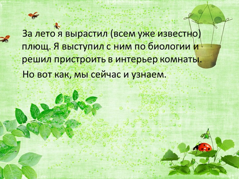 За лето я вырастил (всем уже известно) плющ. Я выступил с ним по биологии