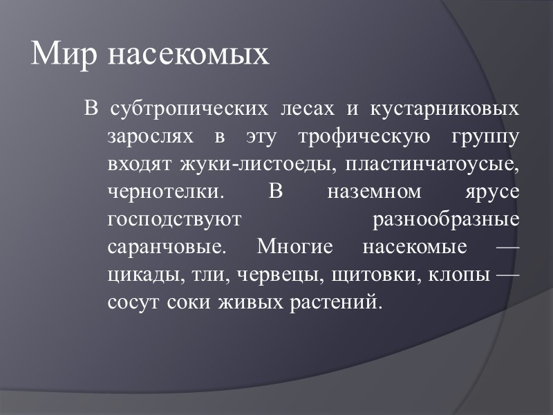 Можжевельник Вечнозелёный кустарник высотой 1—3 м, реже дерево высотой 8—12 м. Крона конусовидная или