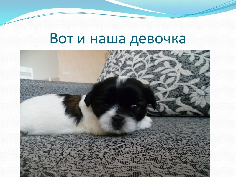 Вот мальчик