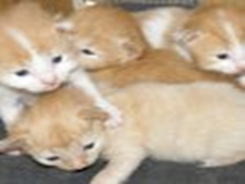 Покаааааааа скоро увидимсяяяя