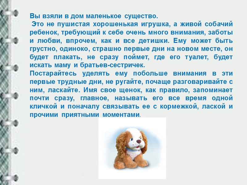 ПОМНИТЕ, каждый питомец зависит от своего хозяина. Решая завести домашнего любимца, нужно понимать, что