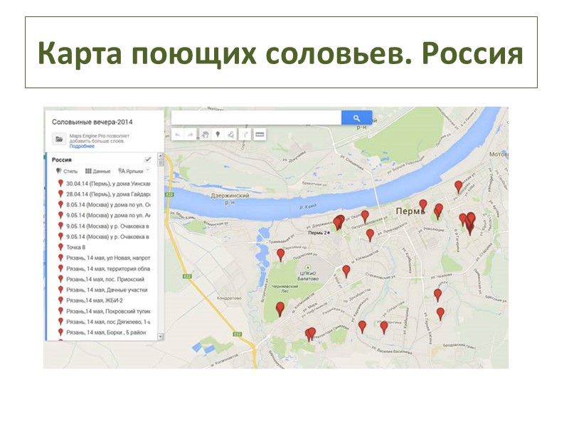 ПРИРОДА В ГОРОДЕ