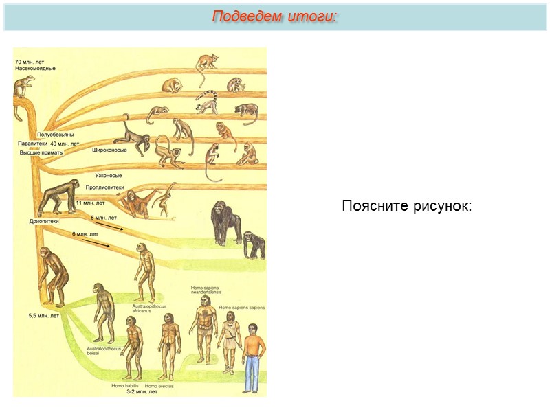 Во второй половине третичного периода (в неогене) в связи с изменение климата на больших