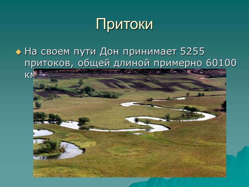 Птицы В бассейне реки можно встретить несколько видов уток и куликов, а также ворона,