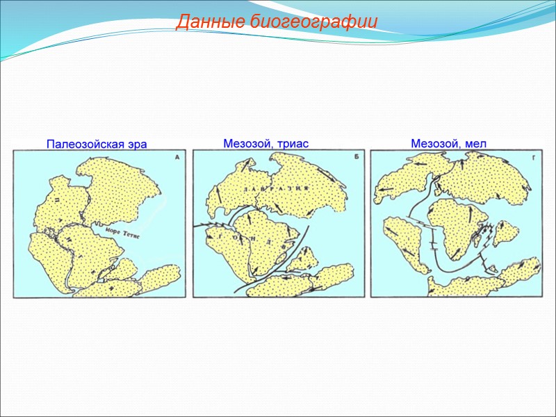 Карта мира биогеография