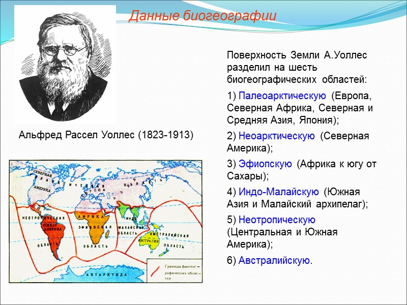 Обнаружены ископаемые переходные формы, позволяющие с уверенностью говорить о происхождении той или иной группы