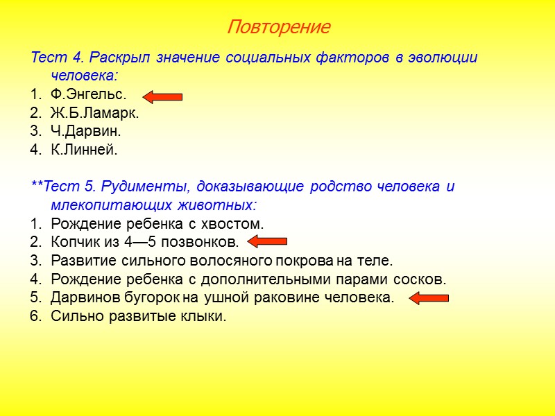У человека и понгид большое сходство в количестве и строении хромосом: у человека —