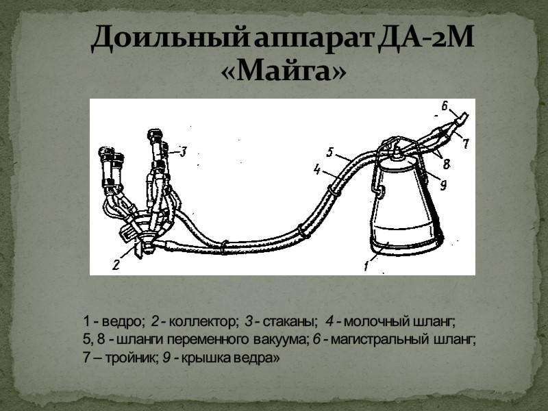 Принцип работы доильного аппарата