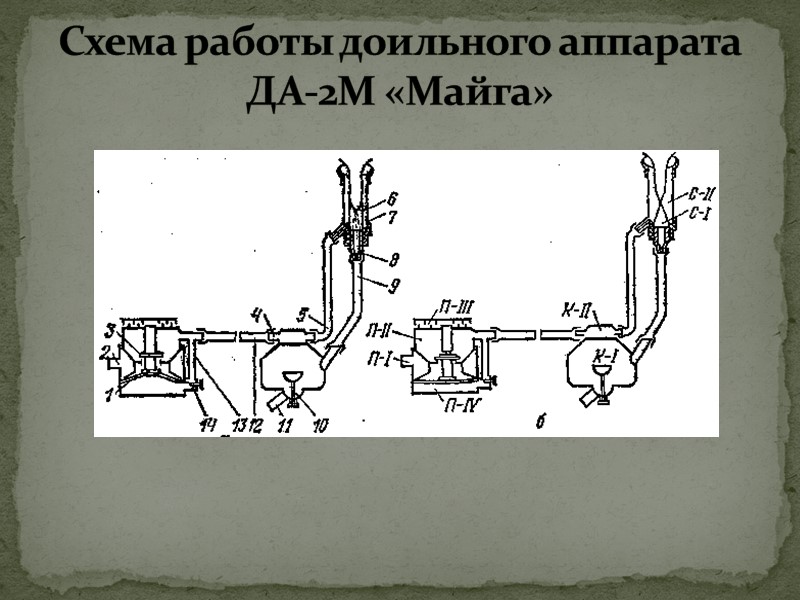 Схема доильного аппарата