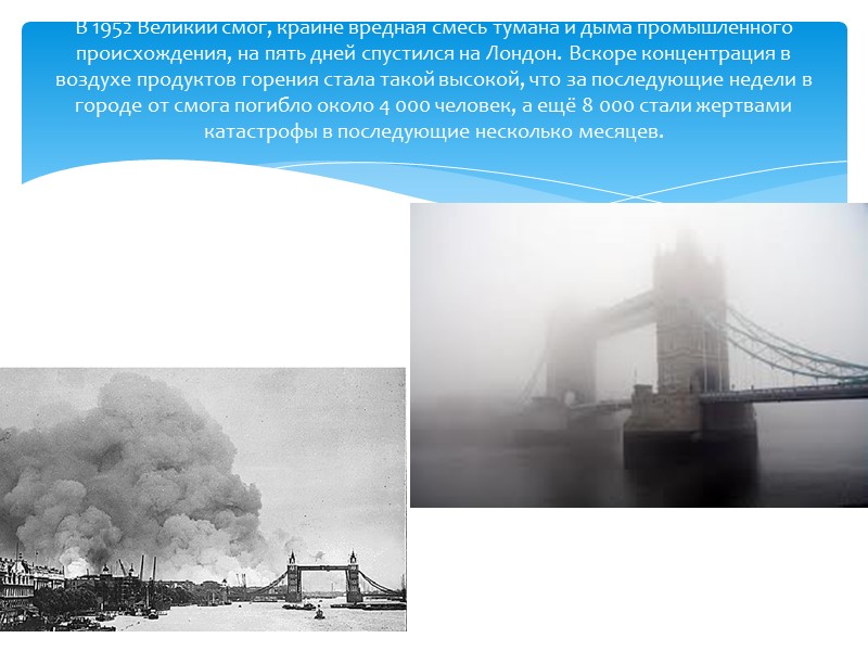 С приходом к власти династии Тюдоров в Англии началась эпоха абсолютной монархии. Благоприятно отразились