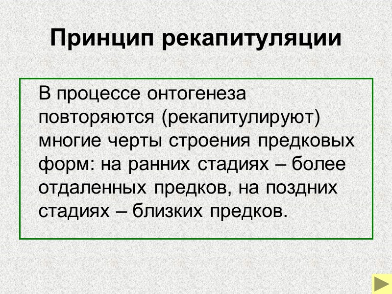 Рудименты у питона и кита      Рудиментарные косточки у китообразных