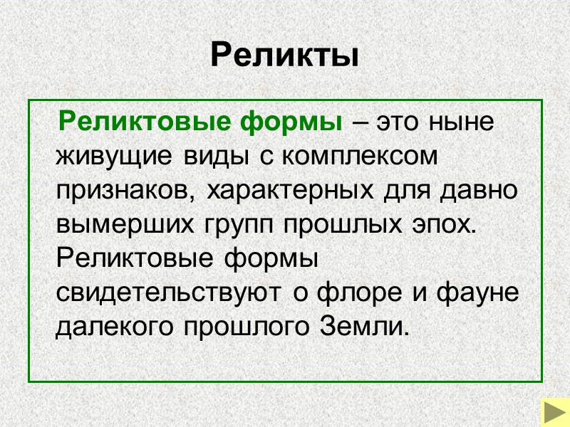 Палеонтологические ряды    Палеонтологические ряды – это ряды ископаемых форм, связанные друг