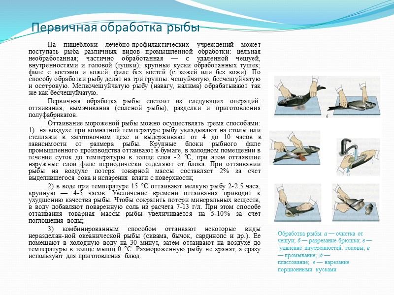 Реферат: Санитарно-гигиенические требования приготовления рыбы. Правила обработки рыбы