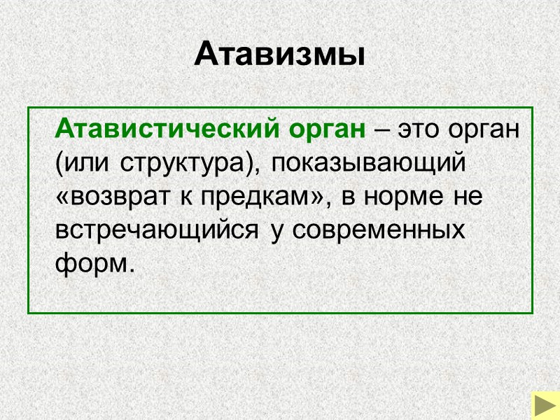 Гинкго двулопастный      Гинкго двулопастный – реликтовое растение. В настоящее