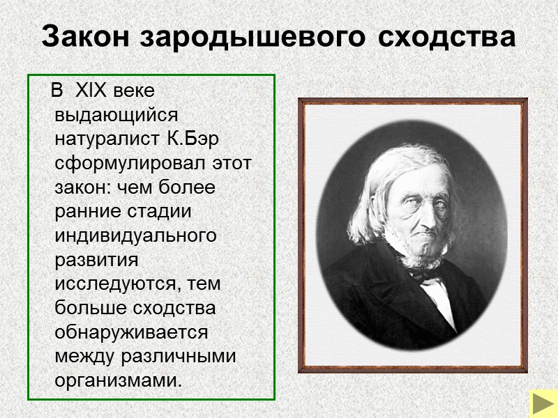 Гомология органов     Различные по внешнему виду и функциям конечности млекопитающих