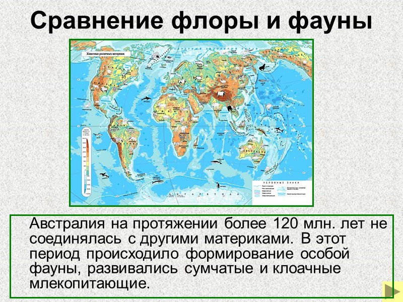 Ископаемые переходные формы    Ископаемые переходные формы – формы организмов, сочетающие признаки