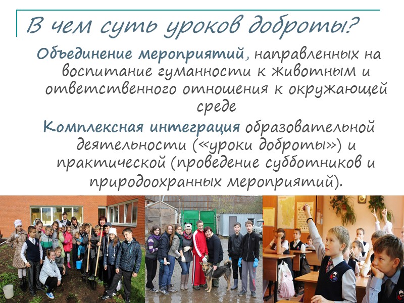Почему уроки доброты необходимы? Тысячи добровольцев в Пермском крае выходят на акции по уборке