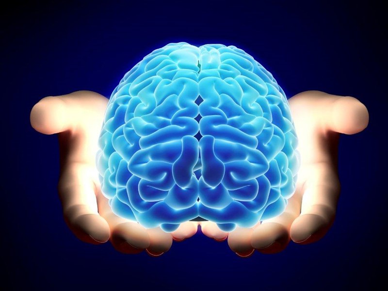 внимание Частный сыщик (префронтальная кора)  Секретные материалы (правая височная доля, префронтальная и фронтальная