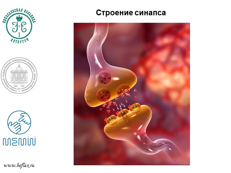 Препараты, негативно влияющие на умственную деятельность www.beflex.ru Статины (при длительном применении) Снотворные (особенно с