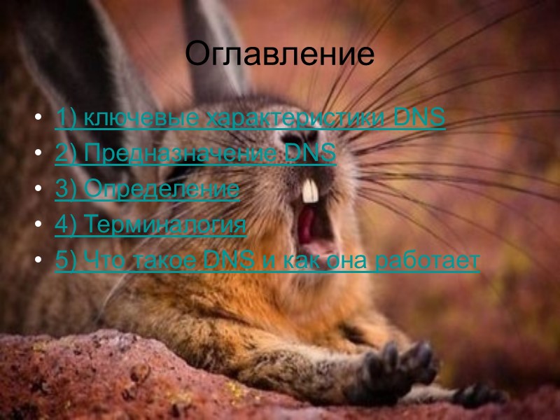 Ресурсная запись — единица хранения и передачи информации в DNS. Каждая ресурсная запись имеет