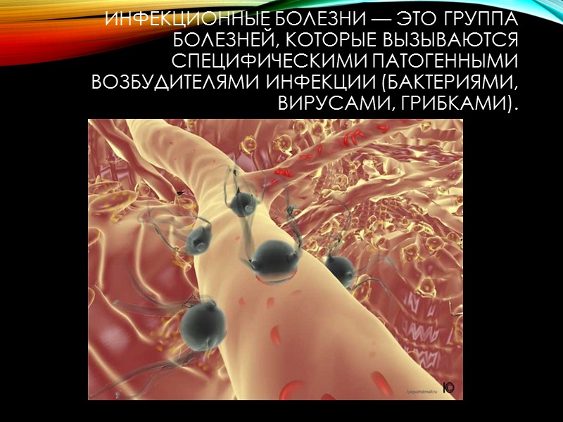 Большинству инфекционных болезней свойственна определённая последовательность развития и течения. Различают четыре периода развития и