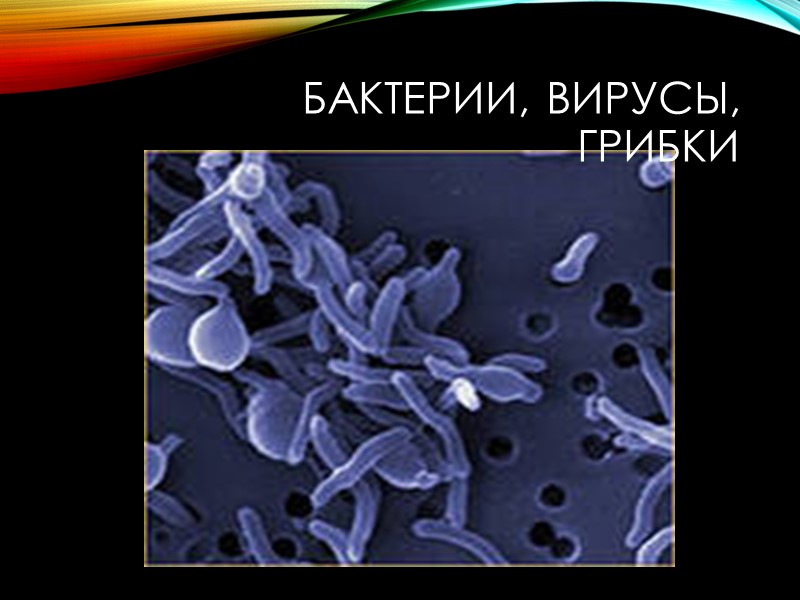 Однако бывают случаи, когда заболевание какой-то инфекционной болезнью охватывает большое количество населения и распространение