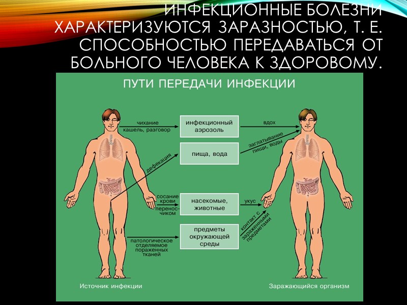 Вторым по значимости источником возбудителей инфекции является больной туберкулёзом крупный рогатый скот. К более