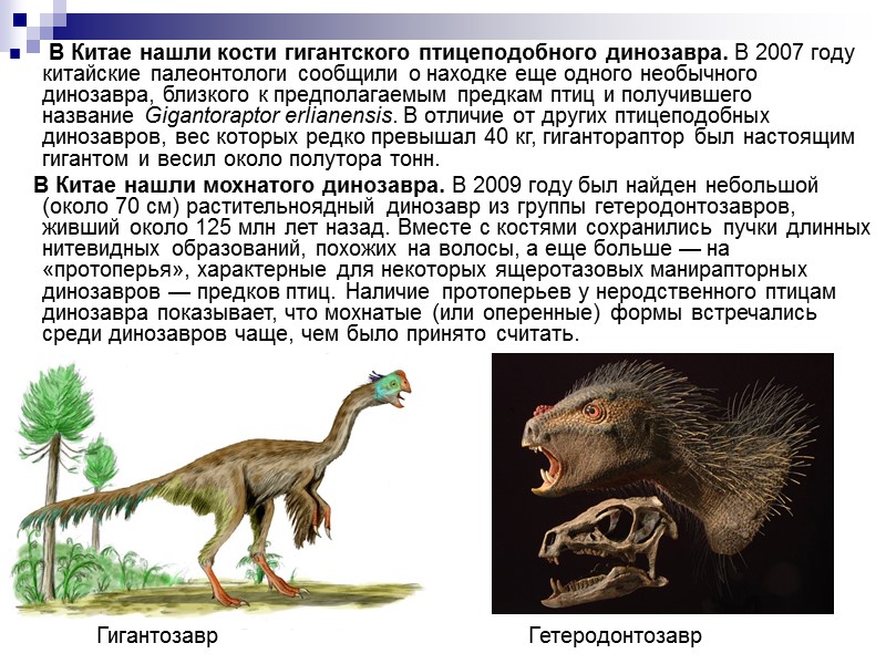 Что изучает палеонтология?  Палеонтология изучает ископаемые остатки древних организмов, сохранившихся в земной коре,