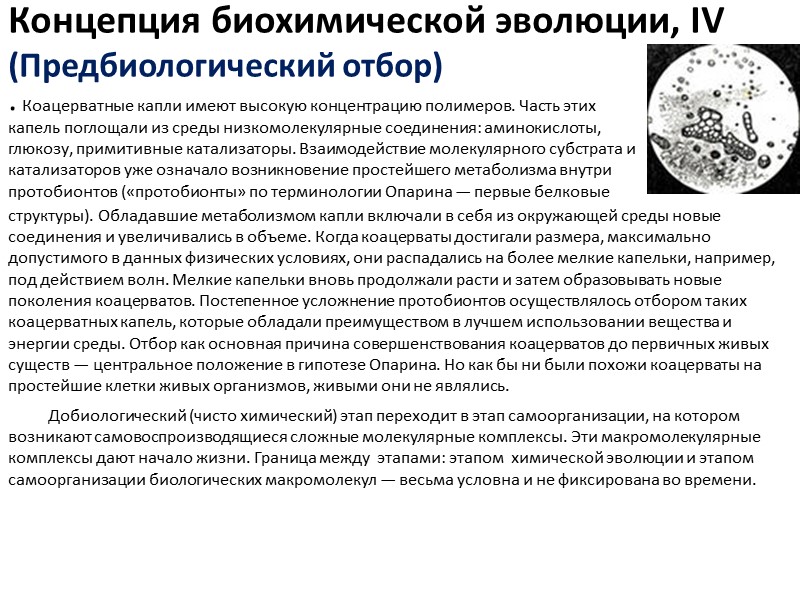 Второе Солнце, из-за которого жителям Земли придется позабыть о темной части суток, а земной