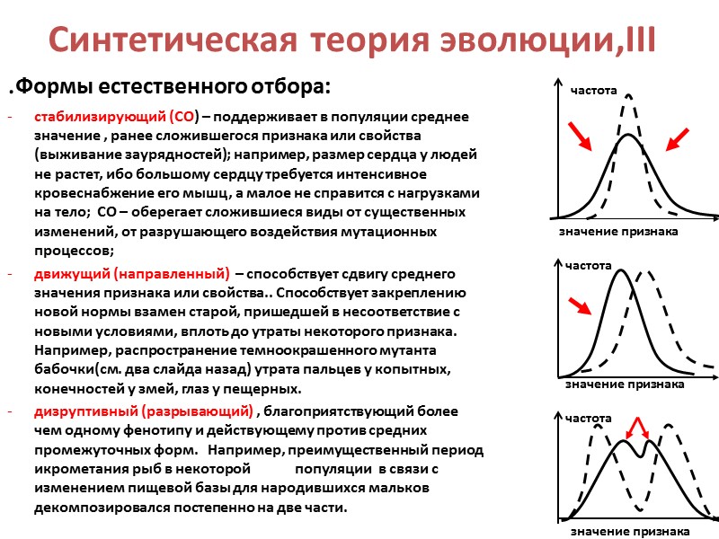 Какая форма естественного отбора