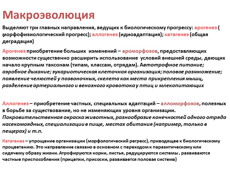 Макроэволюция. Макроэволюция основные направления. Направления макроэволюции таблица. Основные направления макро эвооюции. Основные пути макроэволюции.