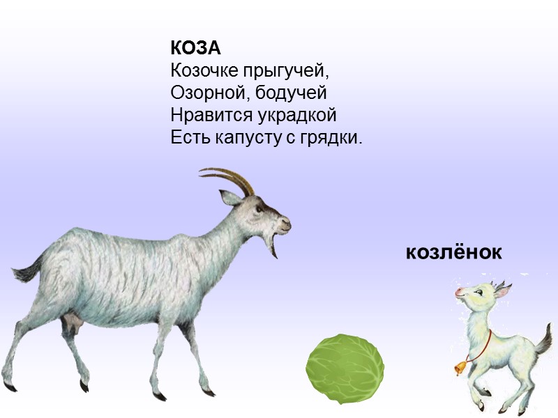 свинья У грязнули-свинки На спине щетинка, На мордашке пятачок, Сзади тонкий хвост-крючок. поросёнок